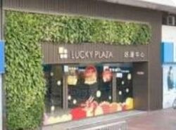 Lucky Plaza (D9), Shop House #455472781